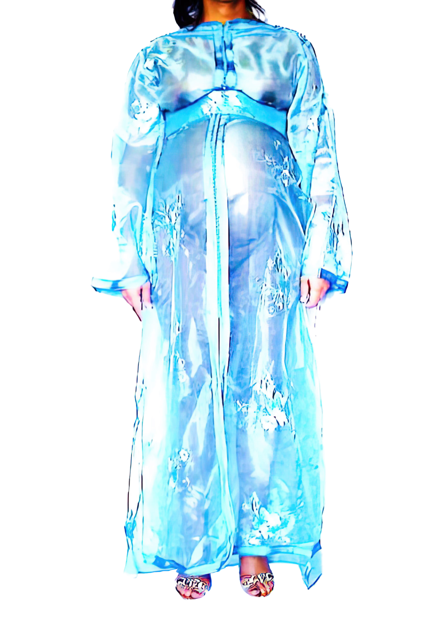 Le Corps Pansant - 2009